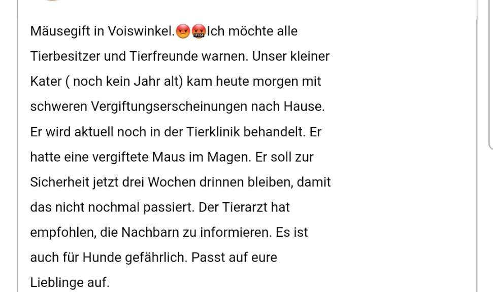 Giftköder-Vergiftete Katze-Profilbild