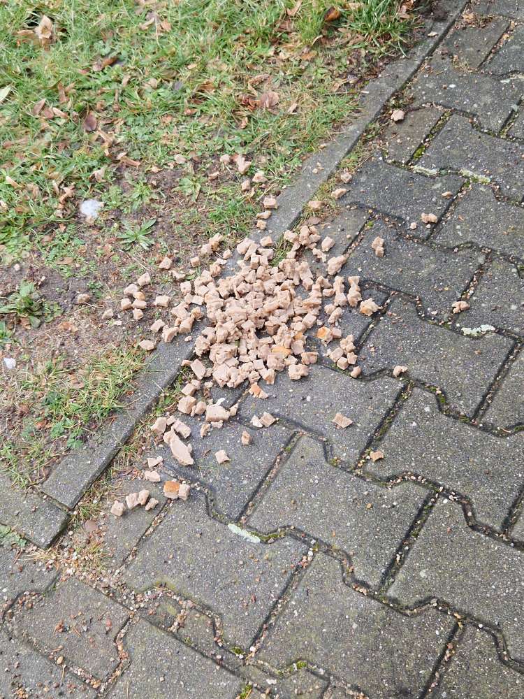 Giftköder-Möglicher Giftköder Brotstücke mit Wurst-Profilbild