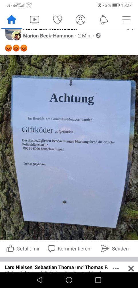 Giftköder-Giftköder-Profilbild