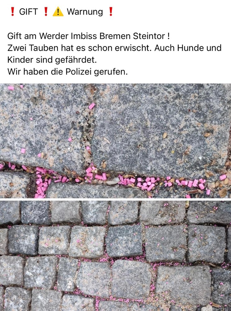 Giftköder-Gift am Werder Imbiss - Rattengift?-Profilbild