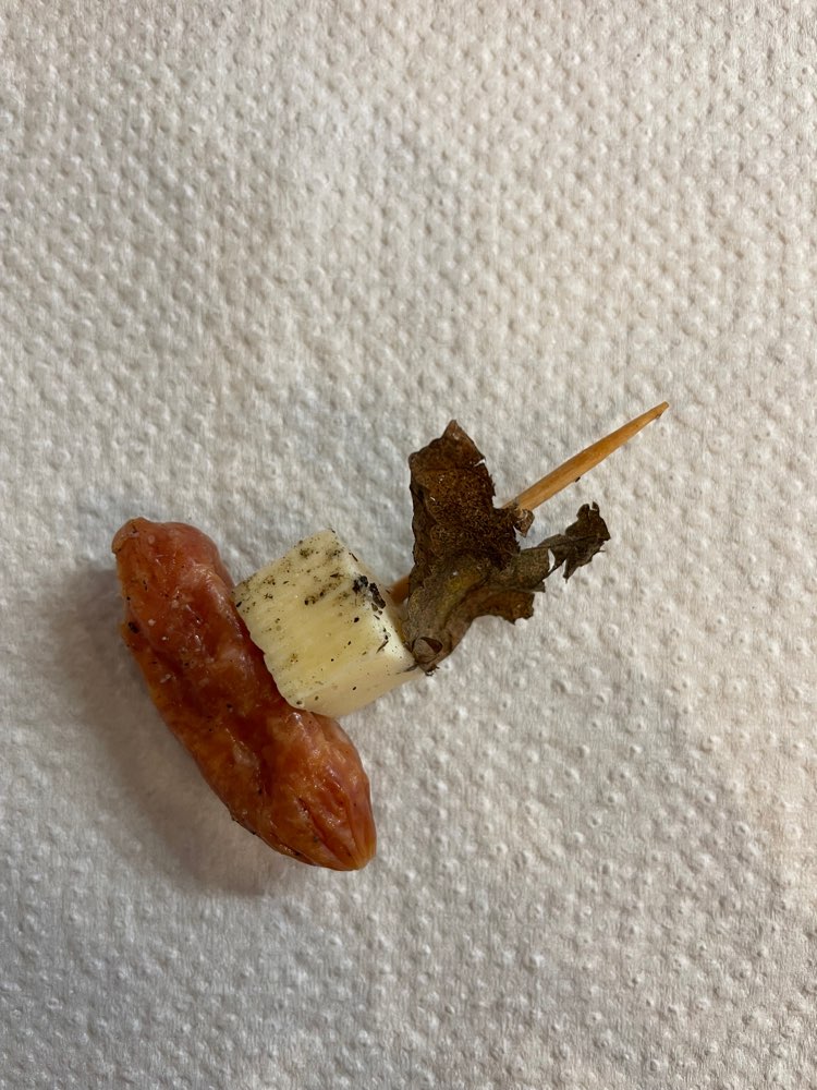 Giftköder-Käse-Wurst Spieße am Osterdeich-Profilbild