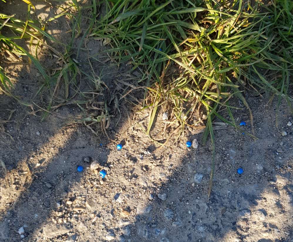 Giftköder-Schneckenkorn, Rattengift?-Profilbild