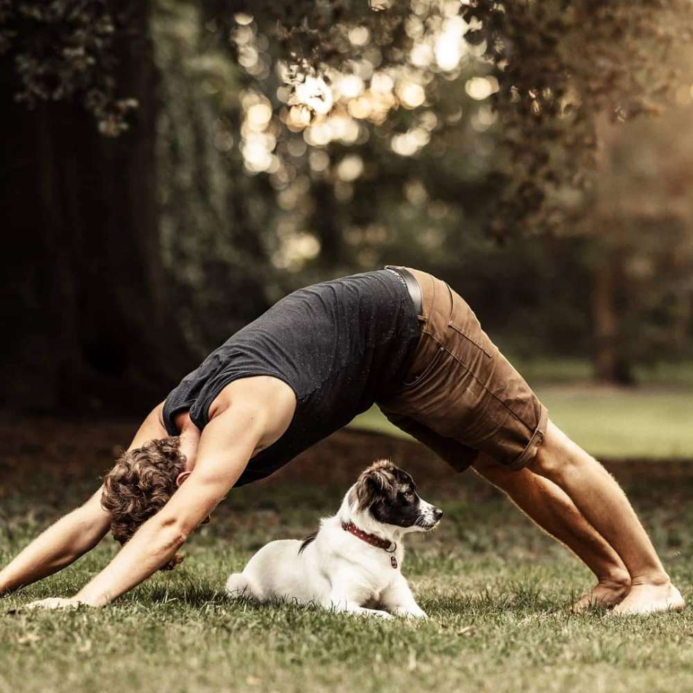 Hundetreffen-Hunderunde im Bürgerpark-Profilbild
