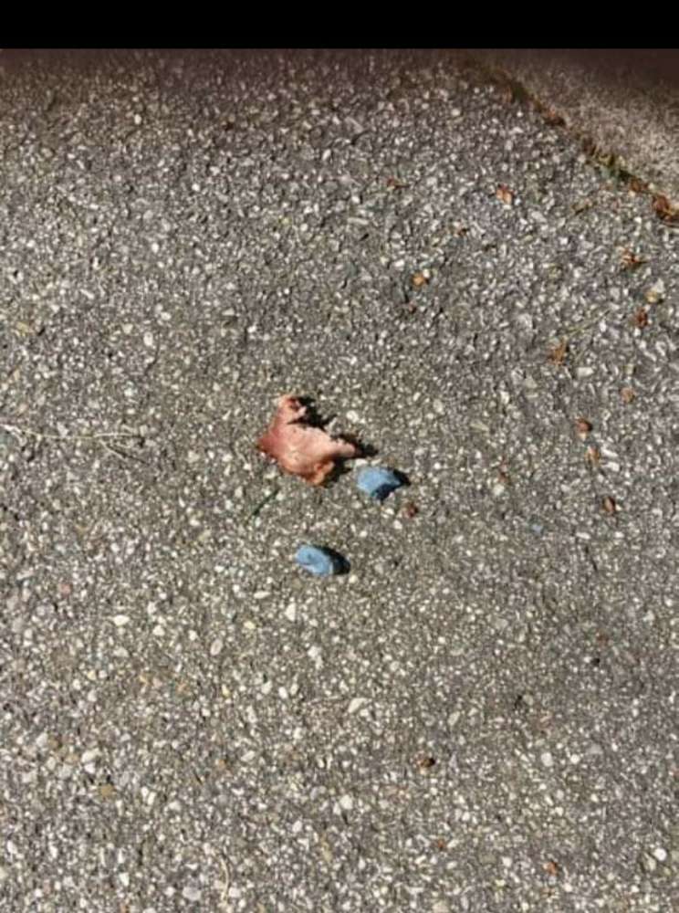 Giftköder-Giftköder in Seebruck-Profilbild