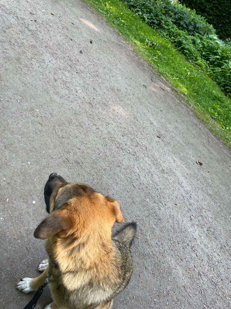 Giftköder-Glasscherben! Hammer Park-Profilbild