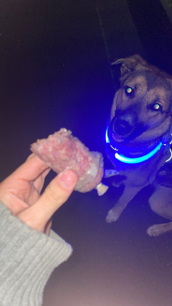 Giftköder-Fleisch Reste...-Profilbild