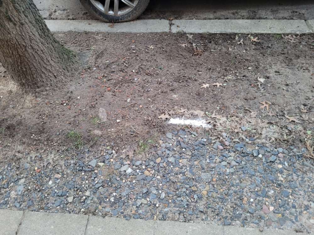 Giftköder-Verdächtiges Pulver-Profilbild