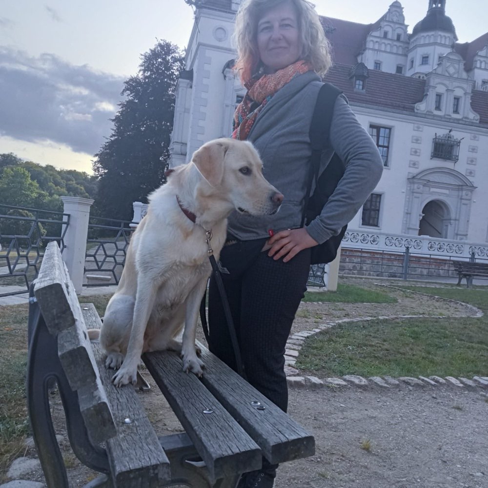 Hundetreffen-Nette Hunde 🐕 kennen lernen-Profilbild