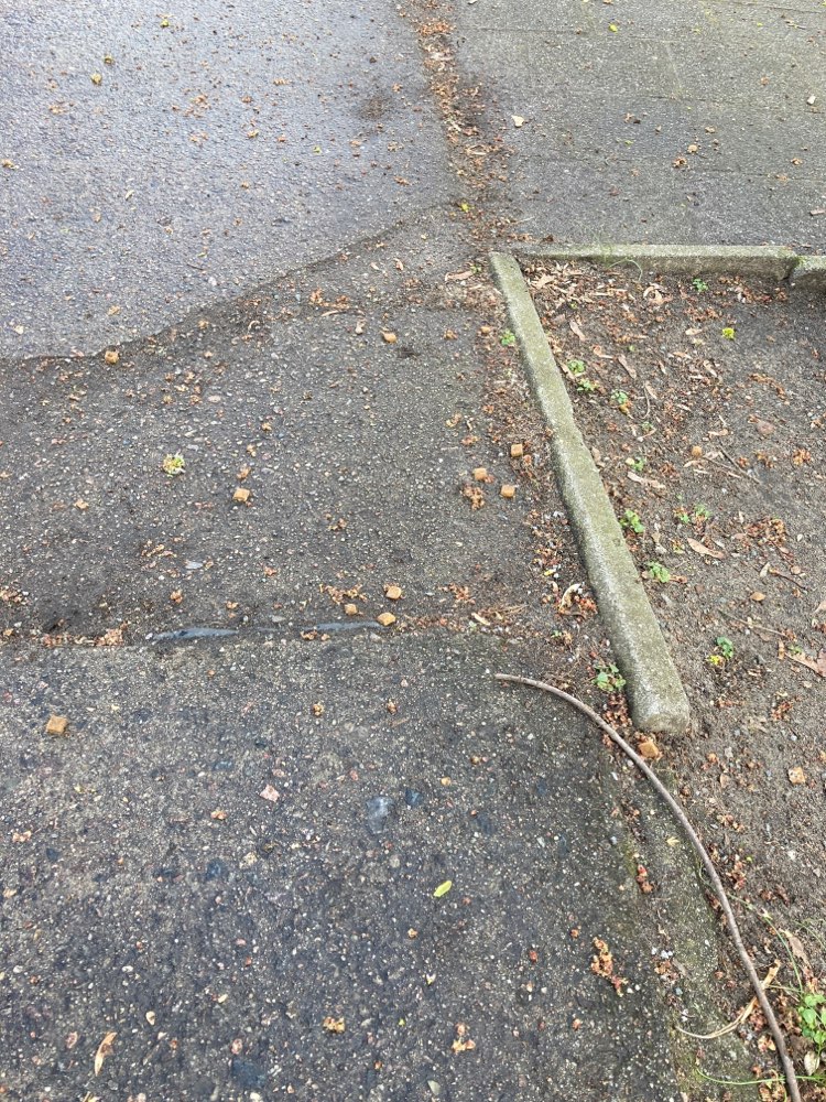 Giftköder-Leckerli/Hundefutter-Profilbild