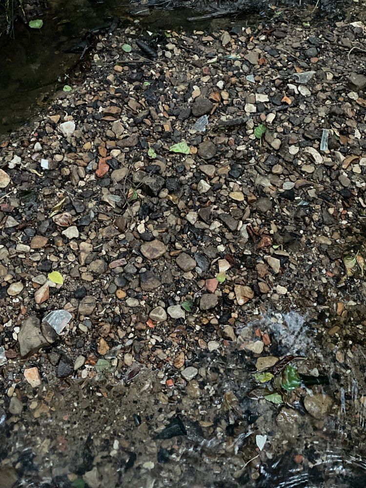 Giftköder-Glasscherben im Bach.-Profilbild