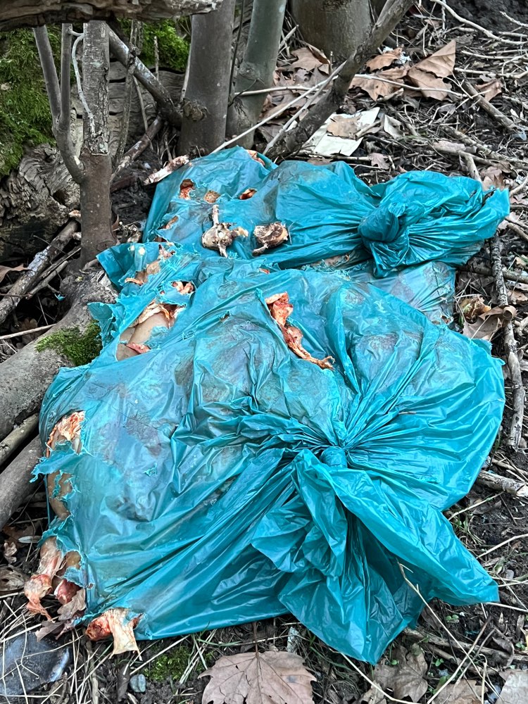 Giftköder-Gammelfleisch-Profilbild