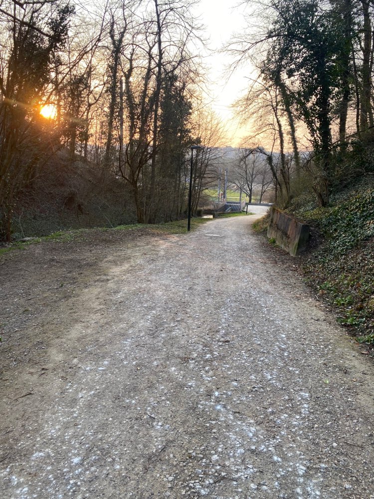 Giftköder-Eventuell Schneckenkörner oder Rattengif-Profilbild