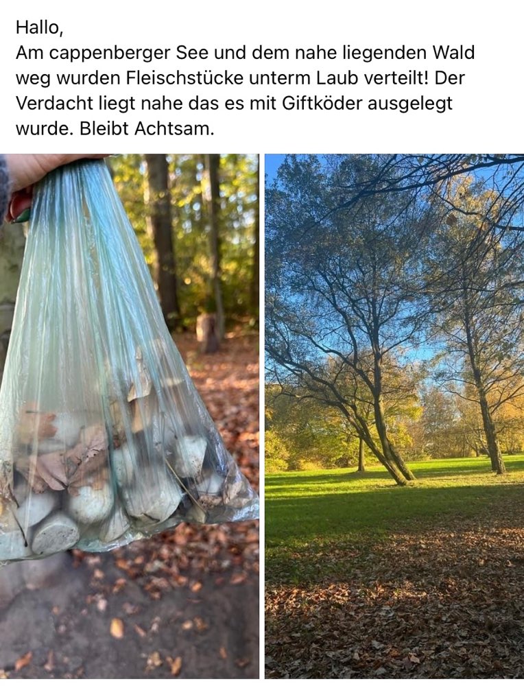 Giftköder-Giftköder-Profilbild