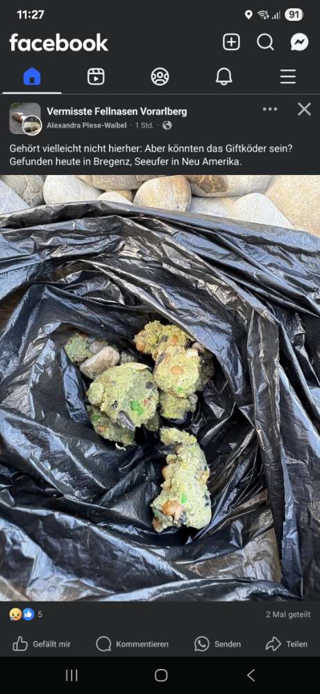 Giftköder-Giftköder-Profilbild