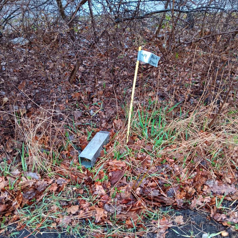 Giftköder-KÖDERBOXEN-Profilbild