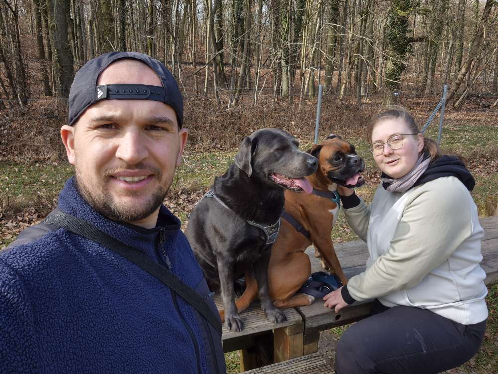 Hundetreffen-CHAMÄLEON Hundetreff-Profilbild