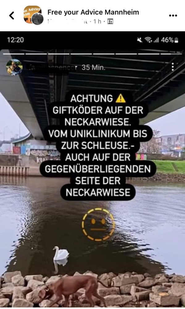 Giftköder-Giftköder-Profilbild