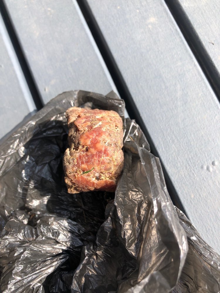 Giftköder-Vermutlich Giftköder-Profilbild