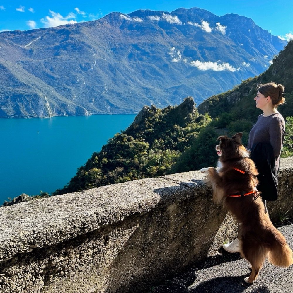 Hundetreffen-Gelegentliche gemütliche Spaziergänge-Profilbild