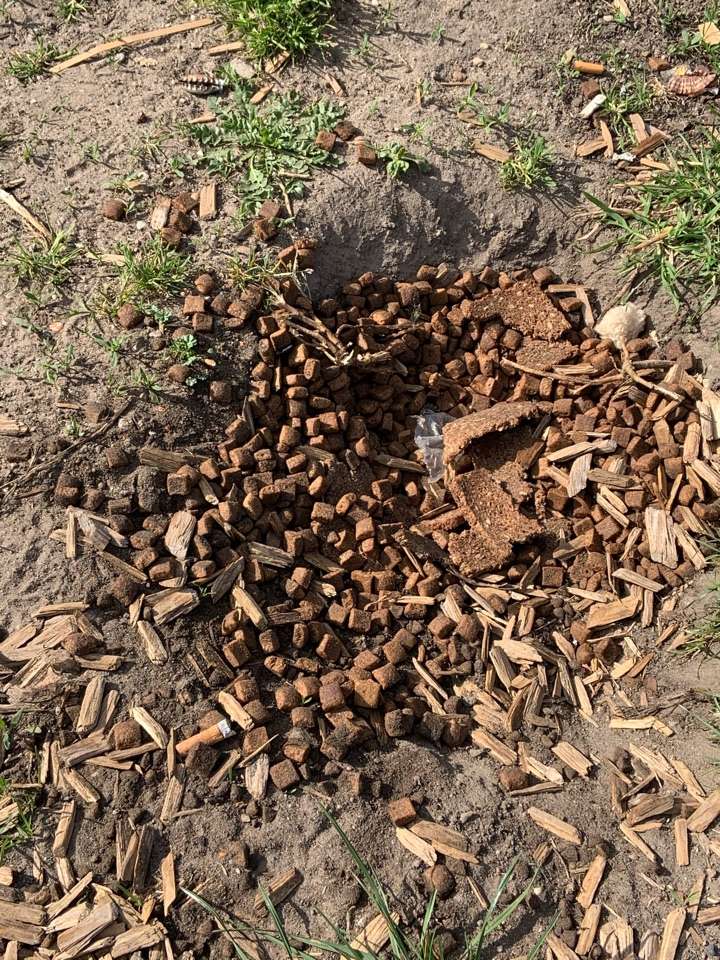 Giftköder-Trockenfutter, Brotreste Fhain/Forcki-Profilbild