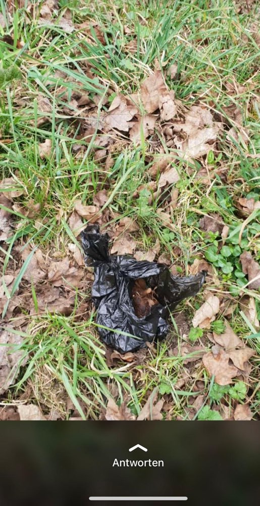 Giftköder-Verdacht auf Giftköder-Profilbild