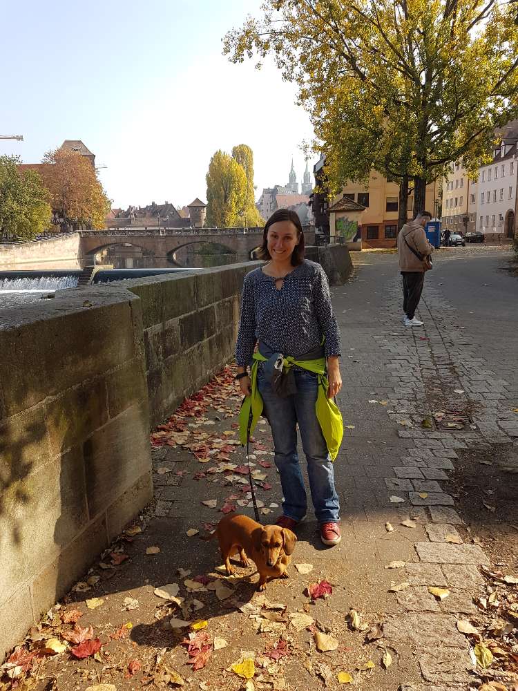Hundetreffen-Gassitreff mit kleinen Hunden-Profilbild