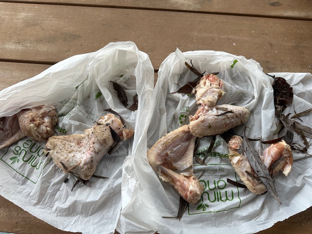 Giftköder-Zahnstocher in Hühnchen-Profilbild