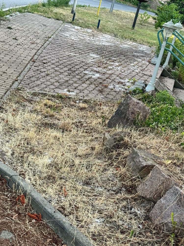 Giftköder-Unkraut oder Ameisengift.-Profilbild