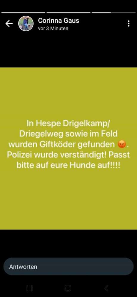 Giftköder-Giftköder-Profilbild