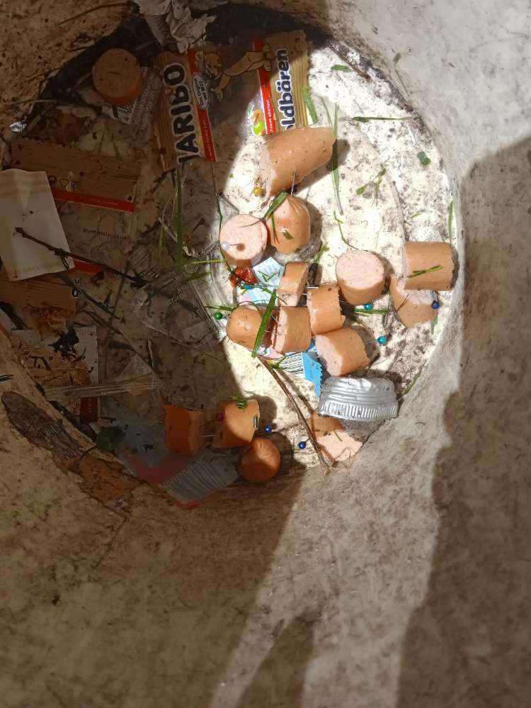 Giftköder-Vorsicht Giftköder-Profilbild