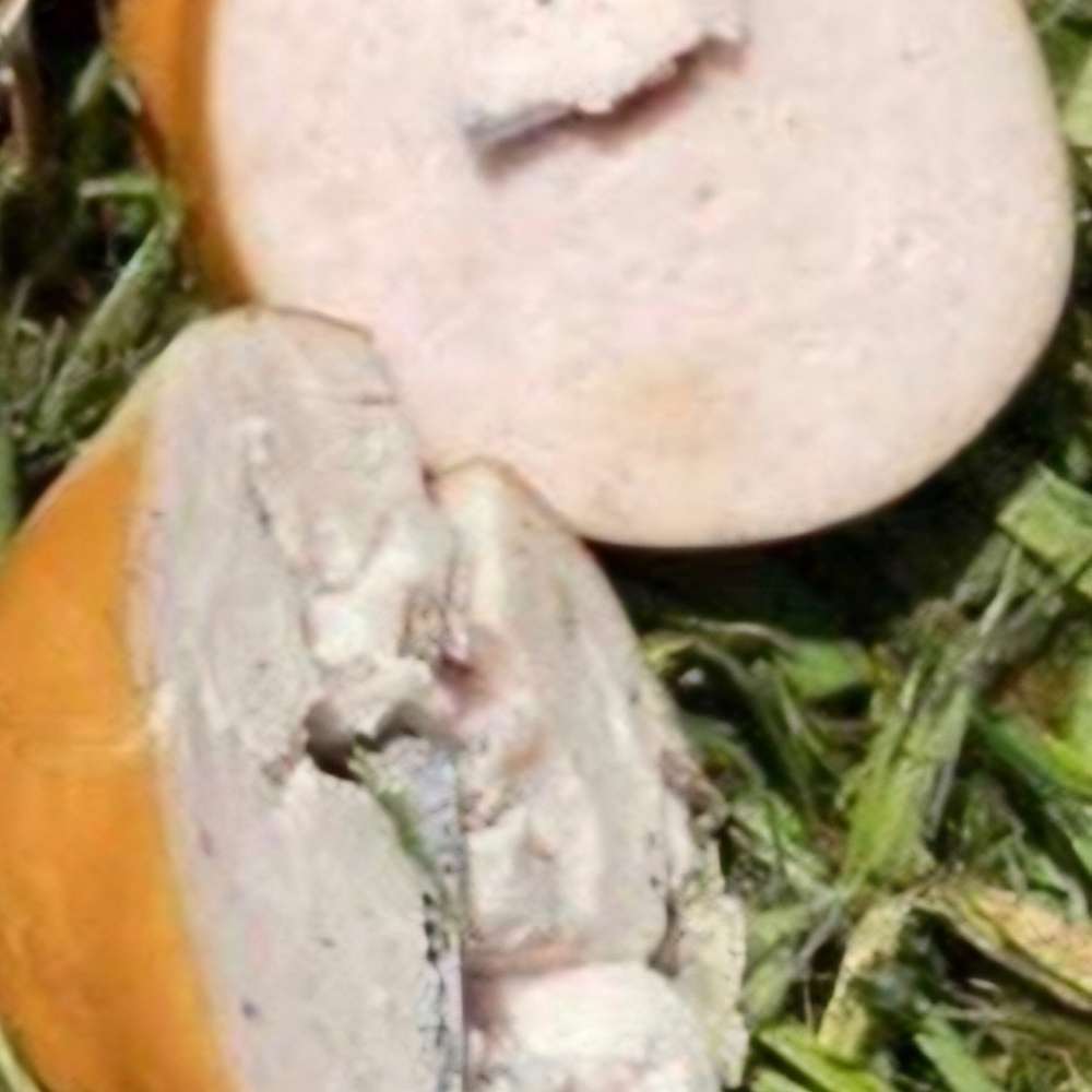 Giftköder-Fleischwurst/Mettwurst mit Rasierklinge-Profilbild