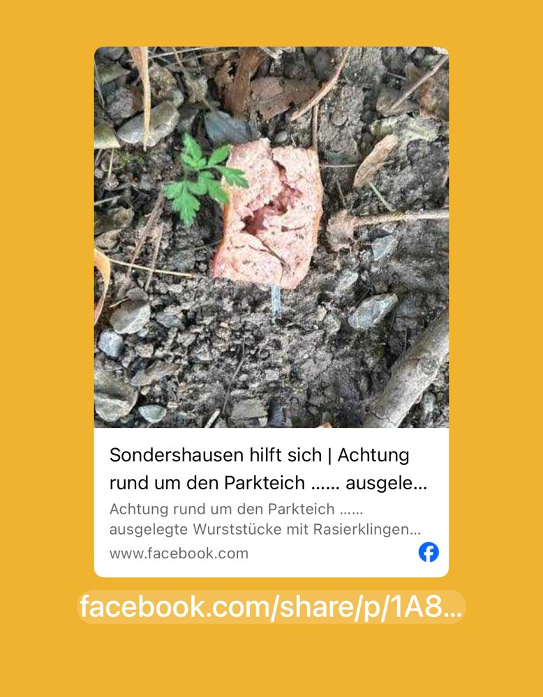 Giftköder-Rasierklingen in Fleisch-Profilbild