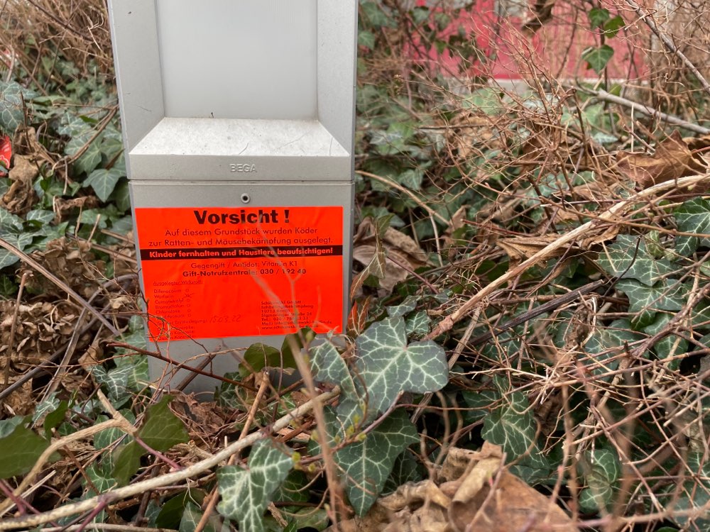 Giftköder-Rattengift-Profilbild