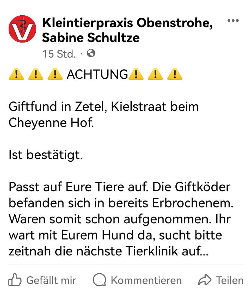 Giftköder-Gifköder-Profilbild