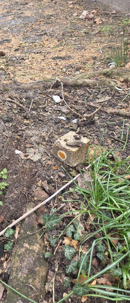 Giftköder-Evtl. GIFTKÖDER-Profilbild