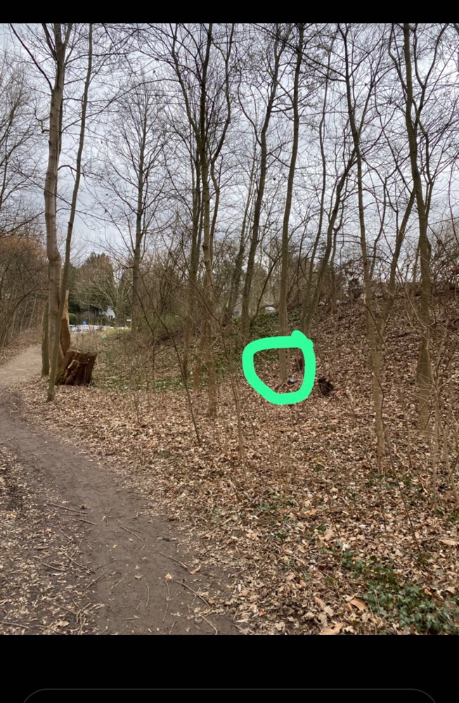 Giftköder-Rattenköderbox an Baum bei Höllsteinpark-Profilbild
