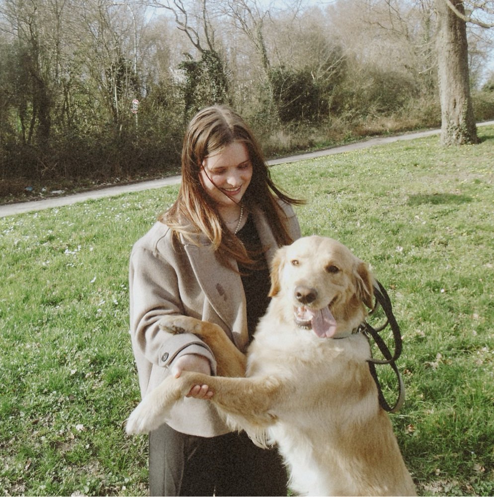Hundetreffen-Gassirunde in Sulzbach - Hühnerfeld-Profilbild