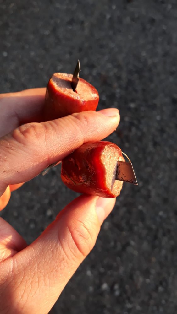 Giftköder-Würstchen mit Rasierklingen-Profilbild