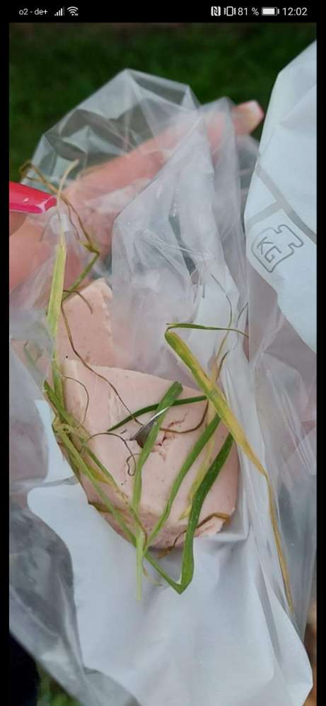 Giftköder-Skalpellspitzen in Fleischwurst-Profilbild