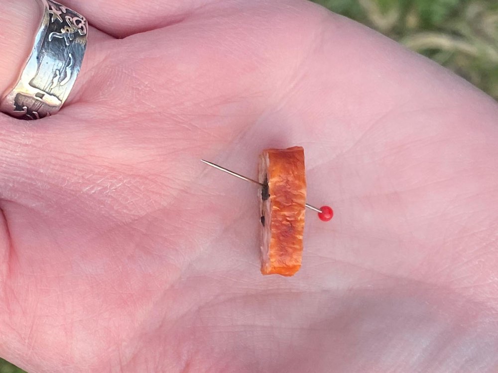 Giftköder-Wurst mit Nadel-Profilbild