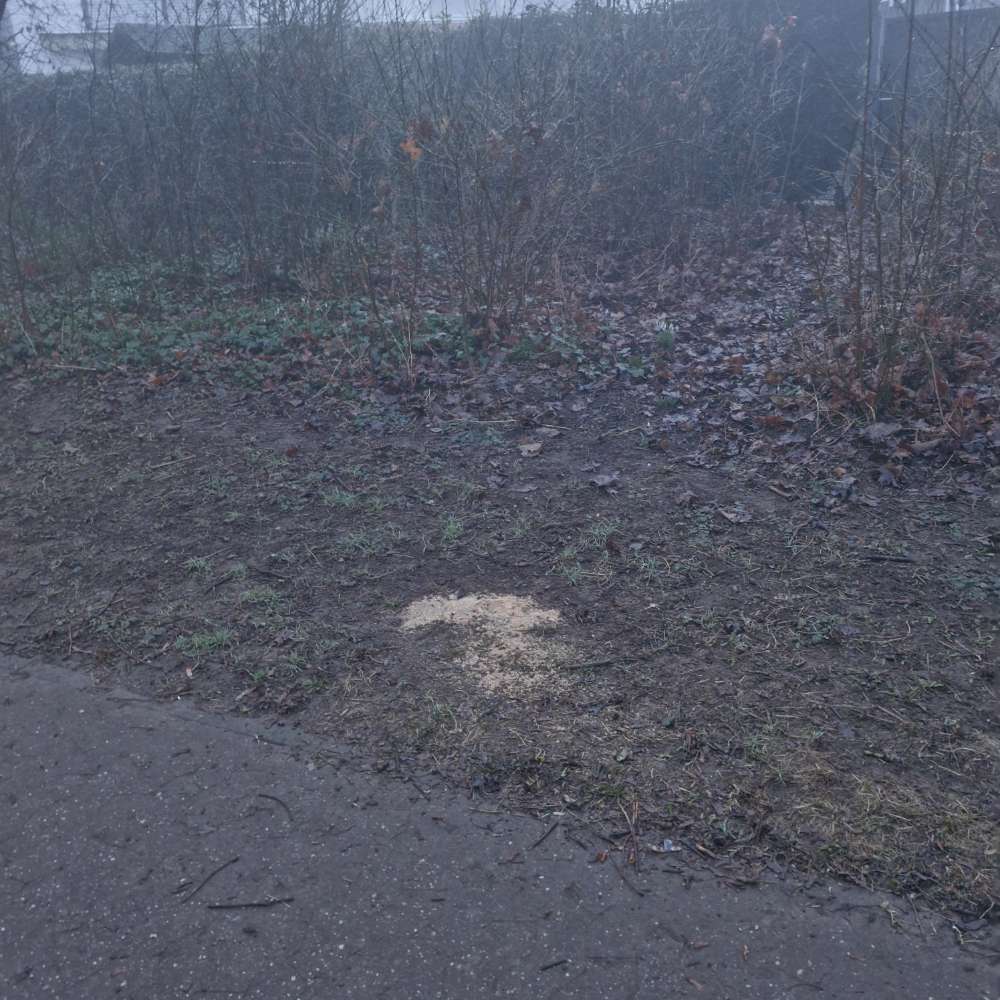 Giftköder-Verschiedene Stellen mit gestreuter Substanz-Profilbild