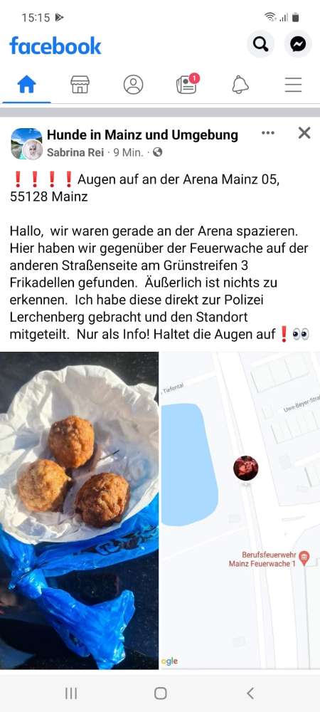 Giftköder-Eventl. Vergiftete Hackbällchen-Profilbild