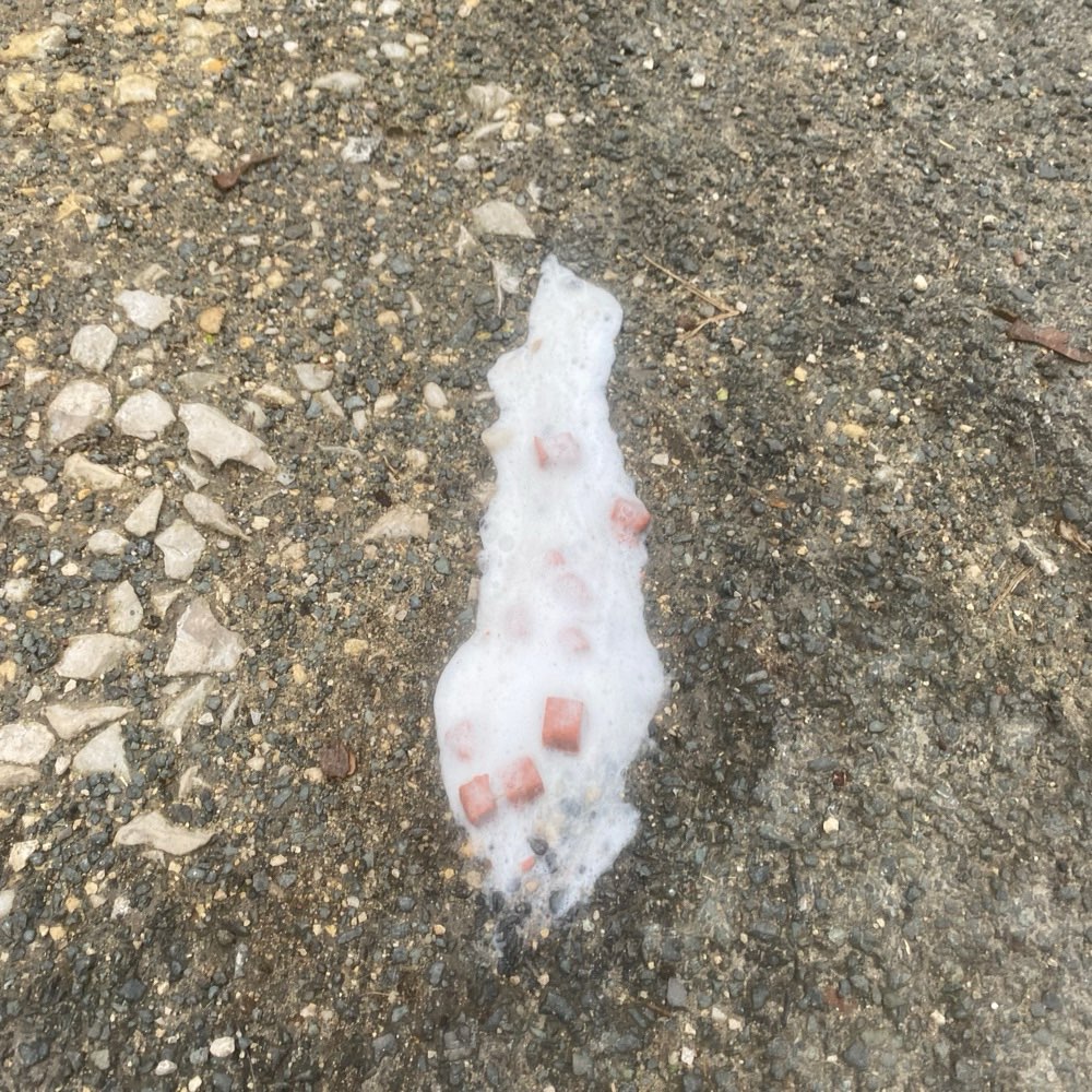 Giftköder-Möglicher Giftköder-Profilbild