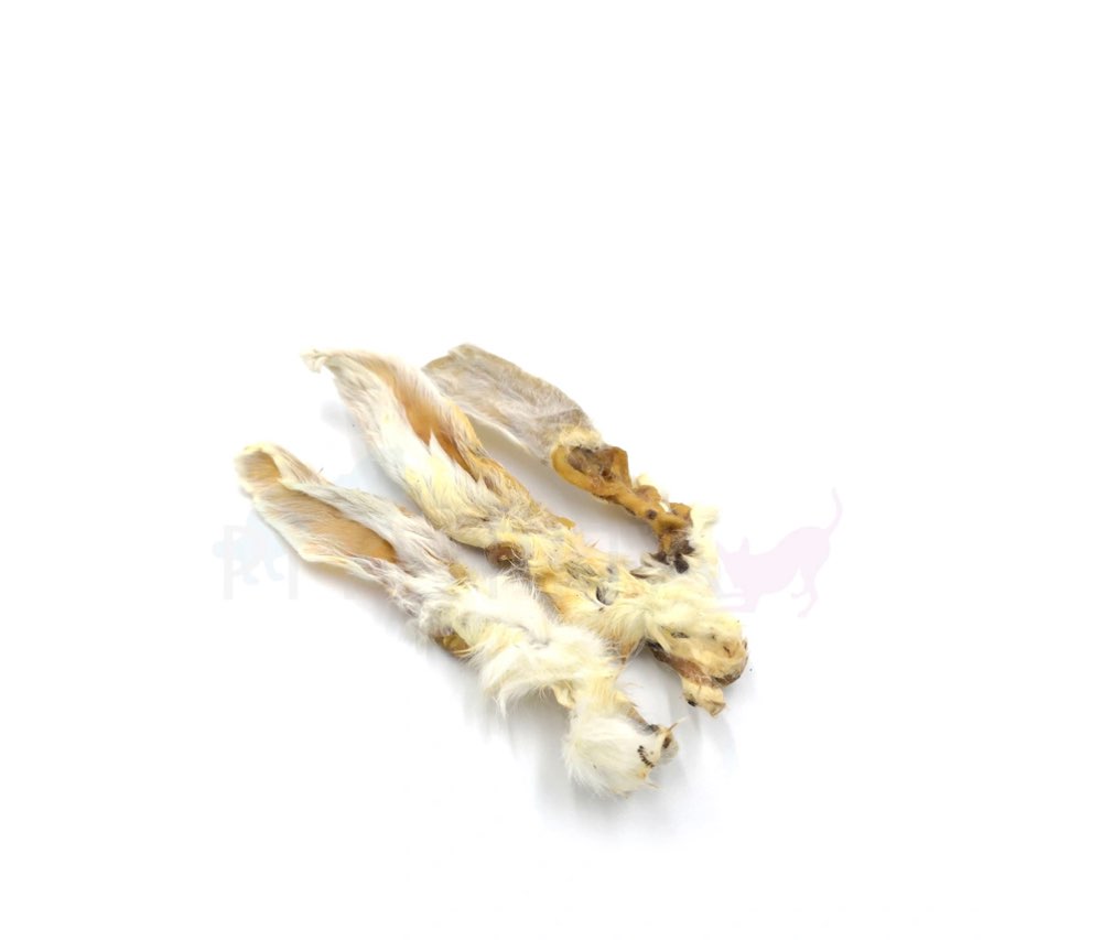 Giftköder-Hasenohr mit Fell-Profilbild