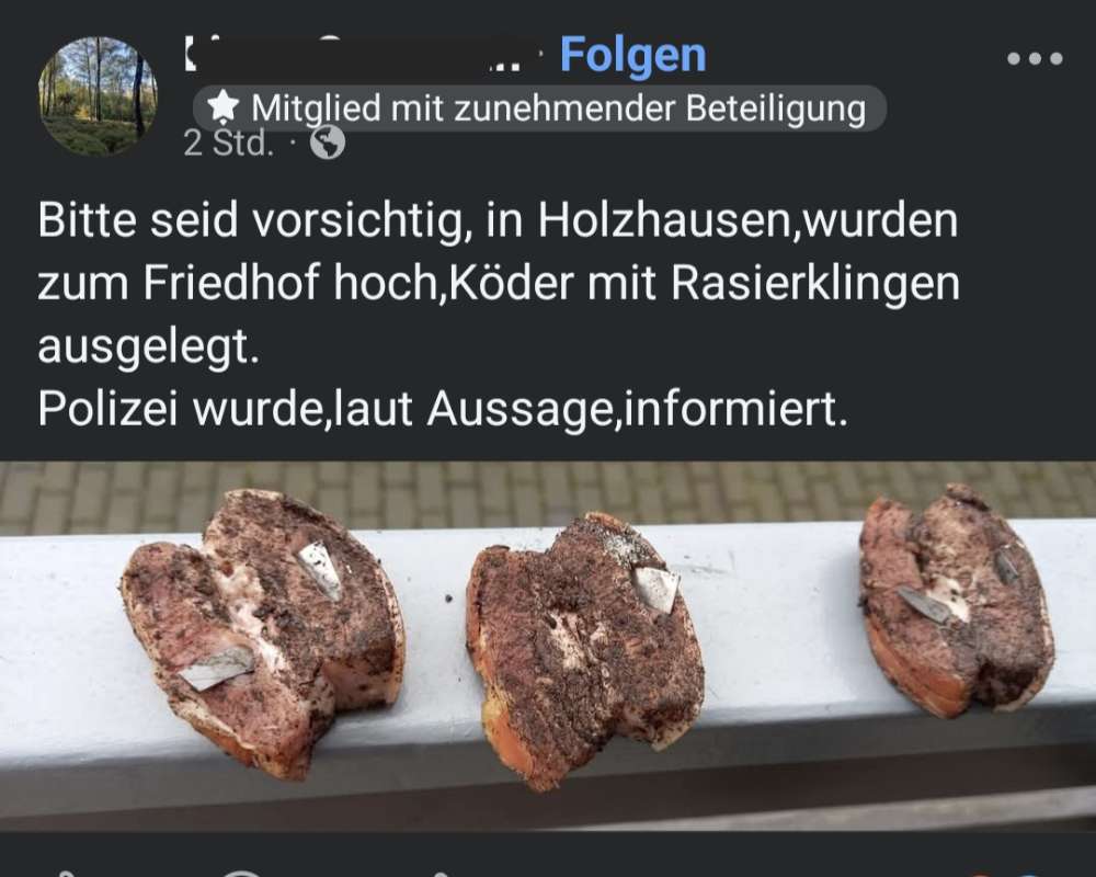 Giftköder-Präpariertes Fleisch mit Rasierklingen-Profilbild