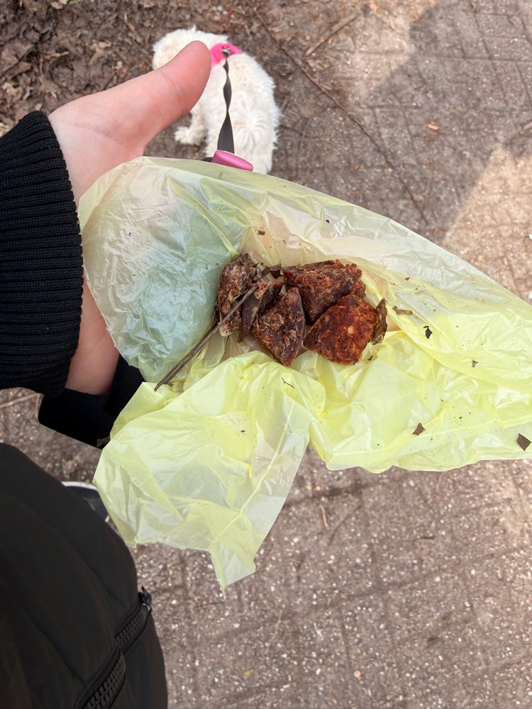 Giftköder-Evtl. Giftköder-Profilbild