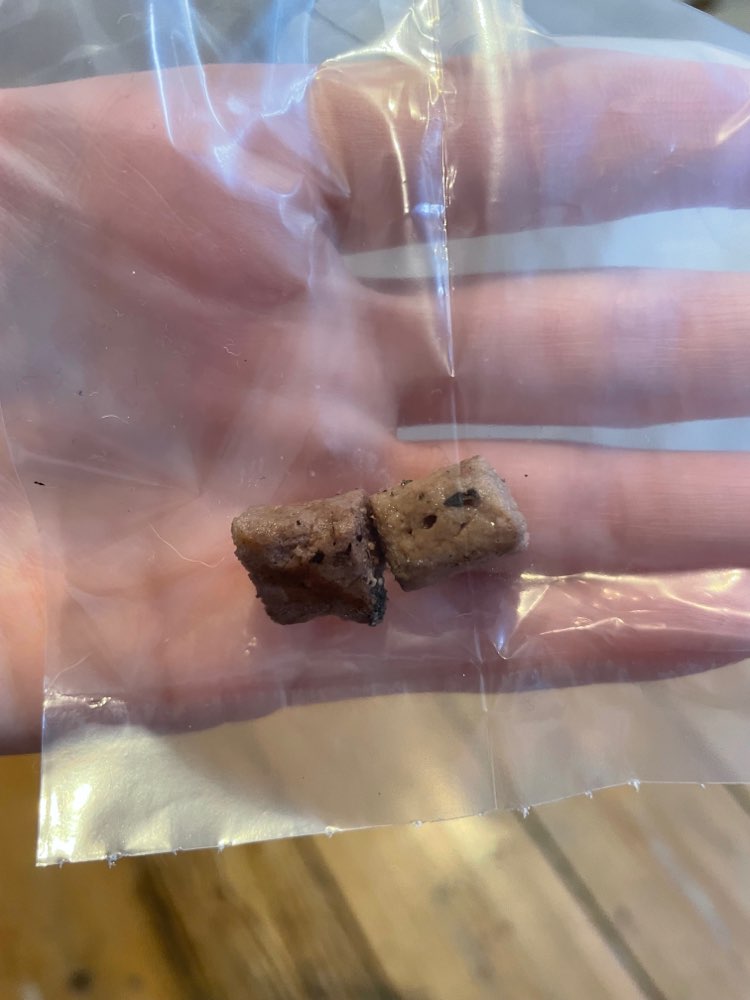 Giftköder-Giftköder am Spielplatz-Profilbild