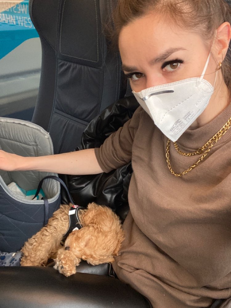 Hundetreffen-Welpentreffen, Spielrunden-Profilbild