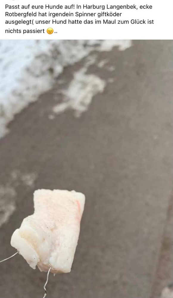 Giftköder-Giftköder-Profilbild