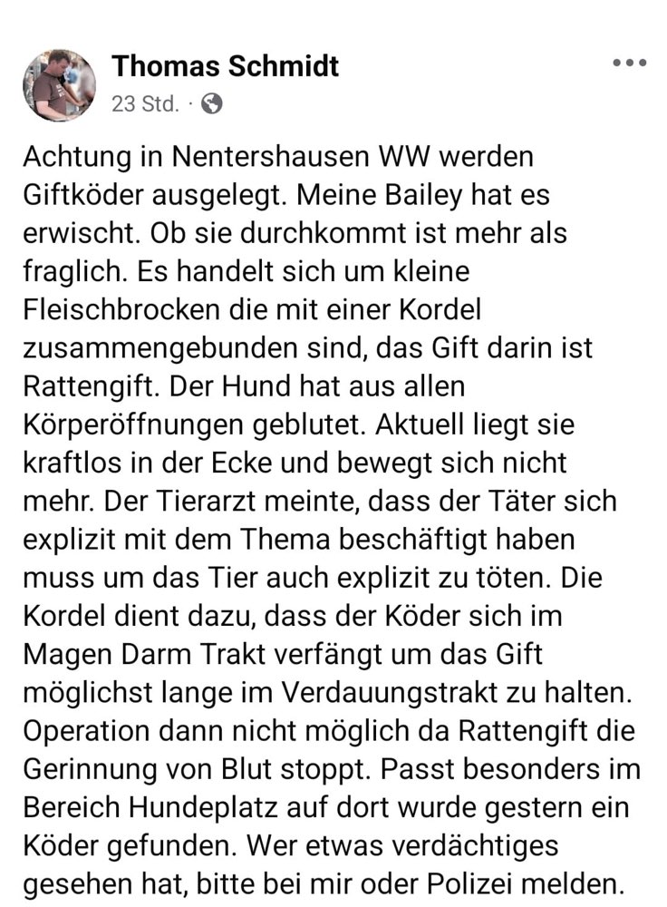 Giftköder-Giftköder-Profilbild